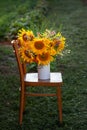 Beautiful autumnal bouquet of bright yellow sunflower flowers in white vase on the chair. Autumn still life with garden flowers Royalty Free Stock Photo