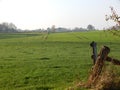 Beautiful autumnal landscape in Schleswig-Holstein