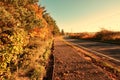 Beautiful autumnal road Royalty Free Stock Photo