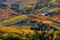 Beautiful autumnal vineyards on the hills of Langhe in Northern Italy.