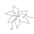 Beautiful Azalea flowers continuous line drawing. A blossoming flower isolated on white background. Symbol of spring with