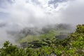 Beautiful Azores Pastures