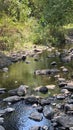 Beautiful Babbling Brook in Tanzania Royalty Free Stock Photo