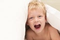 Beautiful baby boy under white blanket. Copy space Royalty Free Stock Photo