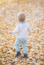Beautiful baby boy walking throw the autumn leaves at the park. Back view Royalty Free Stock Photo