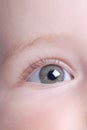 Beautiful baby eye Royalty Free Stock Photo