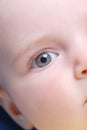 Beautiful baby eye Royalty Free Stock Photo