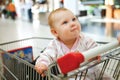 Beautiful baby girl in shopping cart - trolley Royalty Free Stock Photo