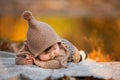 Beautiful baby girl sitting on the plaid near pond. Child outdoor. Baby at picnic in autumn park on sunny day. Pretty little girl Royalty Free Stock Photo