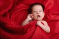 Beautiful baby lying on red silk background Royalty Free Stock Photo