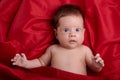 Beautiful baby lying on red silk background Royalty Free Stock Photo