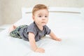 Beautiful baby lying on tummy in parent's bed. Adorable kid crawling on bed in white sunny bedroom. Royalty Free Stock Photo