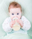 Beautiful baby with a milk bottle under a warm knitted blanket