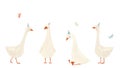 Beautiful baby set with watercolor cute white goose birds celebrating birthday party. Stock illustration.