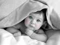 Beautiful baby under blanket Royalty Free Stock Photo