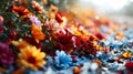 Beautiful background blue and red flowers, nature petals, toning design spring nature, sun plants sunny day