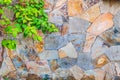 Beautiful background of closeup brown gray sanded stone wall with green leaves branch on the left side. Ideal for use in Royalty Free Stock Photo