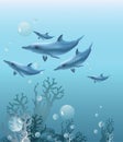 Beautiful background with corals and dolphins swimming underwater Royalty Free Stock Photo