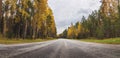 Beautiful background of the curve country asphalt highway in autumnal natural park.