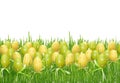 Beautiful background with easter eggs in the grass . Royalty Free Stock Photo