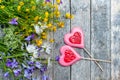 Beautiful background of flowers field of daisies and bells and two hearts made of caramel and marzipan on Valentine`s day. Copy t Royalty Free Stock Photo
