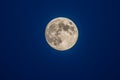 full moon, blue sky Royalty Free Stock Photo