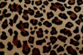 Beautiful background with fur with leopard coloring