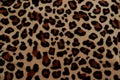 Beautiful background with fur with leopard coloring