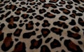beautiful background with fur with leopard coloring