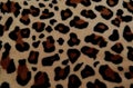 Beautiful background with fur with leopard coloring