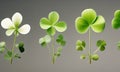 Beautiful background with green clover leaves for Saint Patrick\'s day Royalty Free Stock Photo