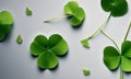 Beautiful background with green clover leaves for Saint Patrick\'s day Royalty Free Stock Photo