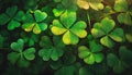 Beautiful background green shamrock, nature plant texture, clover for St Patrick\'s day celebration Royalty Free Stock Photo