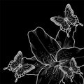 Beautiful background for greeting card with monochrome black and white lilies and butterflies.