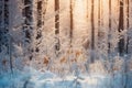 Beautiful background image of a snowy morning winter, AI generated