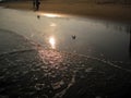 Beautiful background image of sun and sunlight reflection above water and wet sand. Royalty Free Stock Photo