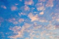 Beautiful background of light clouds on the sky in the sunlight of dawn. White-pink clouds on a blue-blue sky