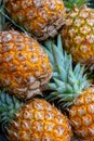 Beautiful background of many pineapples. Tropical fruits