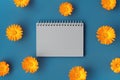 Beautiful background with opened blank spiral notepad framed with orange marigold flowers pattern on blue backdrop. Flat Royalty Free Stock Photo