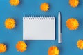 Beautiful background with opened blank spiral notepad and pen framed with orange marigold flowers pattern on blue Royalty Free Stock Photo