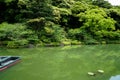 Beautiful background scene of lush green japanese garden mountain landscape with shades of green plant, boat, lotus pond, etc. Royalty Free Stock Photo