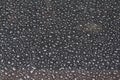 Beautiful background texture of rain water drops on grey black metal surface. Royalty Free Stock Photo