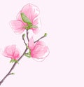 Beautiful background with twig blossoming magnolia tree