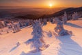 Beautiful background with winter trees covered with fresh snow in the mountains with colorful sky at sunrise Royalty Free Stock Photo