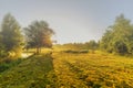 Beautiful backlight spring landscape along Kromme Aar in Alphen aan den Rijn