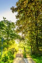 Beautiful backlight spring landscape picture with warm colours of sunrise in the nature park Heempark