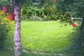 Beautiful backyard garden landscape with green lawn background in the centre. Royalty Free Stock Photo