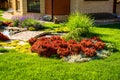 Beautiful backyard landscape design. View of colorful trees and decorative trimmed bushes rocks Royalty Free Stock Photo