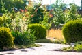 Beautiful backyard landscape design. View of colorful trees and decorative trimmed bushes rocks Royalty Free Stock Photo