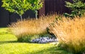 Beautiful backyard landscape design. View of colorful trees and decorative trimmed bushes rocks Royalty Free Stock Photo